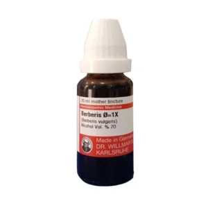 Berberis Q = 1X Mother Tincture - Dr. Schwabe